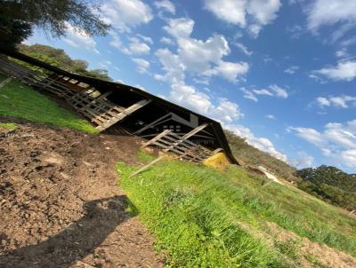 Terra para Venda, em Campestre da Serra, bairro RURAL