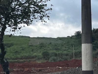 Terreno para Venda, em Miguel Pereira, bairro Lagoinha