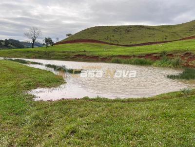 Fazenda para Venda, em Seara, bairro interior