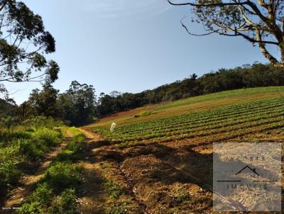 Stio para Venda, em Tapira, bairro Alto da Boa Vista, 5 dormitrios, 4 banheiros, 10 vagas