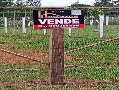 Terreno para Venda, em Triunfo, bairro Creche