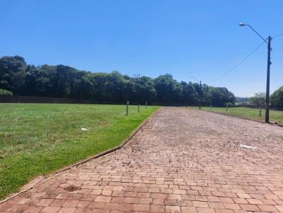 Terreno para Venda, em Carazinho, bairro Loeff