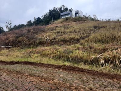 Terreno para Venda, em So Jos do Cedro, bairro Loteamento Alta Colina
