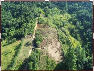 Terreno para Venda, em Jaragu do Sul, bairro Jaragu 84