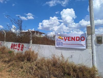 Terreno para Venda, em Pesqueira, bairro Zona Rural