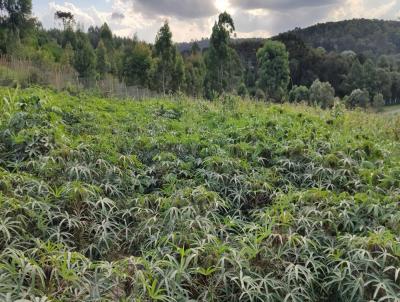 Terreno para Venda, em Rio Negrinho, bairro S�o Pedro