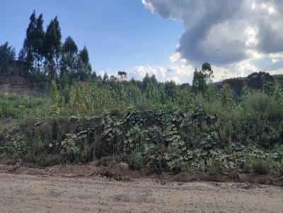 Terreno para Venda, em Rio Negrinho, bairro So Pedro