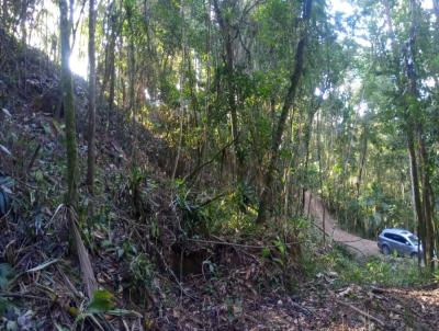 Terreno para Venda, em Massaranduba, bairro Estrada 2 Brao do Norte