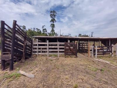 Chcara para Venda, em Vilhena, bairro REA RURAL, 2 dormitrios, 1 banheiro