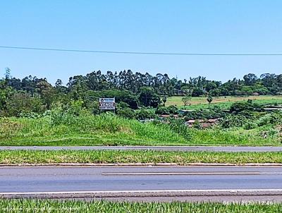 Terreno Comercial para Venda, em Umuarama, bairro Gleba 14 Figueira