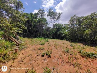 Terreno para Venda, em Miguel Pereira, bairro Sertozinho