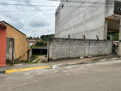 Lote para Venda, em Toledo, bairro Centro