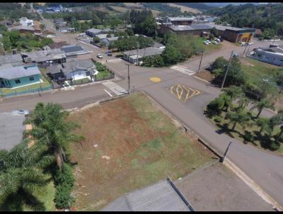 Terreno Comercial para Venda, em Vargeo, bairro CENTRO