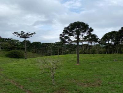 Chcara para Venda, em Campo Alegre, bairro ., 2 dormitrios, 3 banheiros, 1 sute