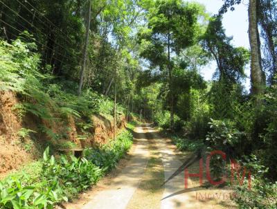 Stio para Venda, em Mendes, bairro Cinco Lagos, 4 dormitrios, 7 banheiros, 4 sutes