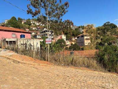 Lote para Venda, em Peanha, bairro Taquaral