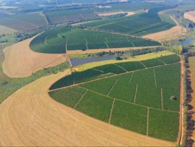 Fazenda para Venda, em Piumhi, bairro Piumhi