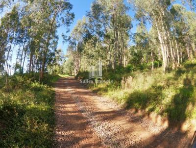 rea Industrial para Venda, em Flores da Cunha, bairro So Cristovo