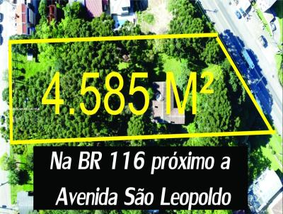 Terreno Urbano para Venda, em Caxias do Sul, bairro So Leopoldo