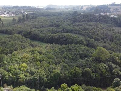 Terreno para Venda, em Araucria, bairro Capela Velha