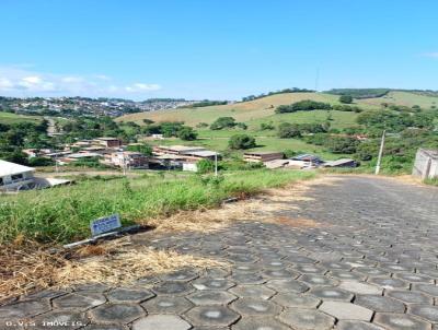 Terreno para Venda, em Cataguases, bairro Floresta