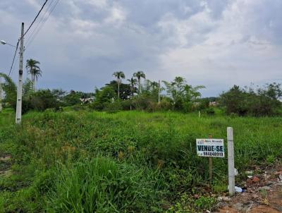 Terreno para Venda, em Barra Velha, bairro NOVA BARRA VELHA