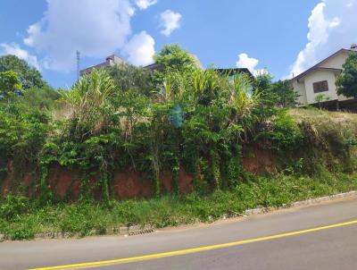 Terreno para Venda, em Concrdia, bairro Bela Vista