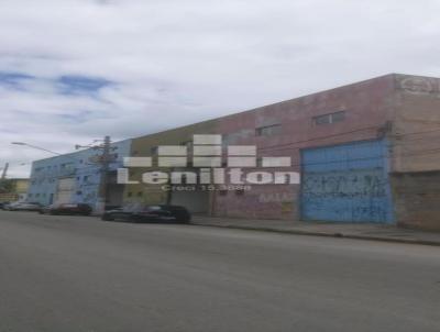 Casa para , em Santo Andr, bairro Parque Novo Oratrio, 4 banheiros