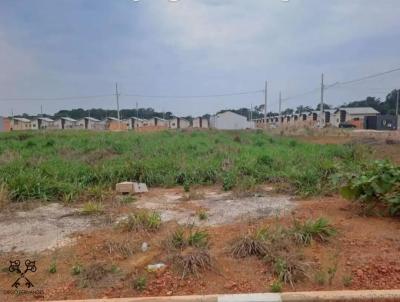 Terreno para Venda, em Sinop, bairro Resid. Villa Verde