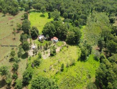 Stio / Chcara para Venda, em Uberlndia, bairro Martinsia