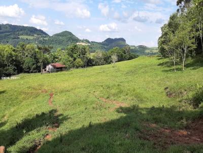 rea Rural para Venda, em So Jos do Cedro, bairro Linha So Pedro
