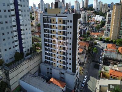 Apartamento para Venda, em So Paulo, bairro Vila Paulicia, 1 dormitrio, 1 banheiro