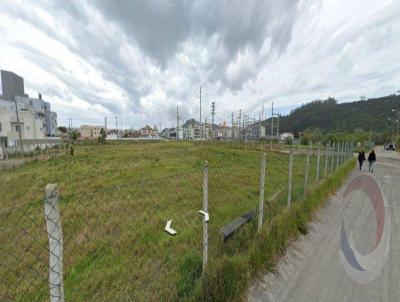 Terreno para Venda, em Florianpolis, bairro Ingleses do Rio Vermelho