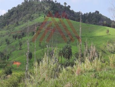 Fazenda para Venda, em Juiz de Fora, bairro Centro