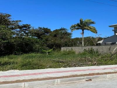 Terreno para Venda, em Bombinhas, bairro Mariscal