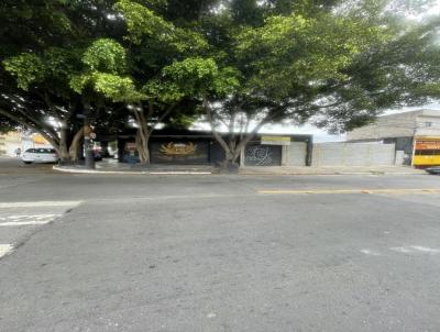 Terreno para Venda, em So Paulo, bairro Jardim das Oliveiras, 4 banheiros