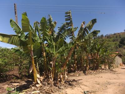 Stio para Venda, em Esprito Santo do Pinhal, bairro RURAL