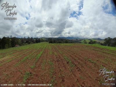 Stio para Venda, em Pedra Bela, bairro Zona Rural