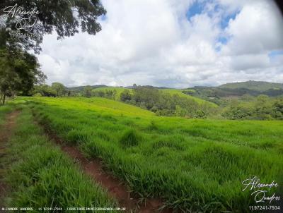 Terreno Rural para Venda, em Pedra Bela, bairro Zona Rural