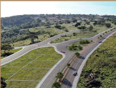 Lote para Venda, em Lagoa Santa, bairro Residencial Raizes