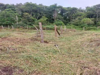 Terreno para Venda, em Balnerio Piarras, bairro Pirabeiraba