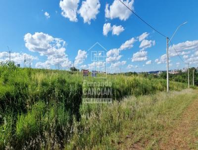 Terreno para Venda, em Santa Rosa, bairro Colina