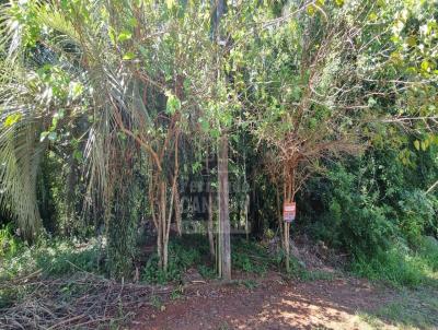 Terreno para Venda, em Santa Rosa, bairro Bela Vista