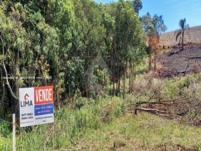 Terreno Comercial para Venda, em Campo Magro, bairro Samambaia