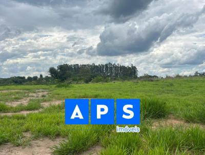 Terreno para Venda, em Brumadinho, bairro Coronel Eurico