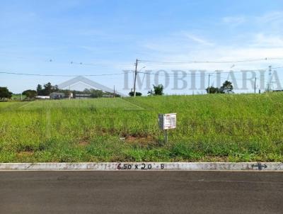 Terreno para Venda, em Bernardino de Campos, bairro Jardim Paraso