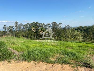 Terreno para Venda, em Belo Vale, bairro zona rural