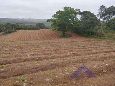 Stio / Chcara para Venda, em Quitandinha, bairro gua Clara de Baixo, 2 dormitrios, 1 banheiro, 3 vagas