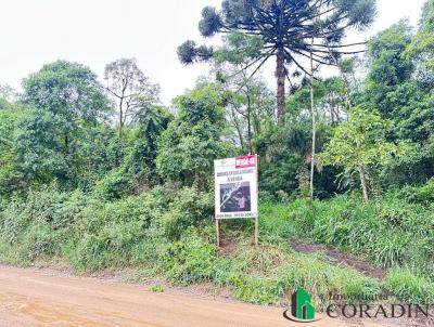 rea Rural para Venda, em Bocaiva do Sul, bairro Cedrinho