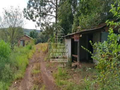 Stio / Chcara para Venda, em Santa Rosa, bairro Interior